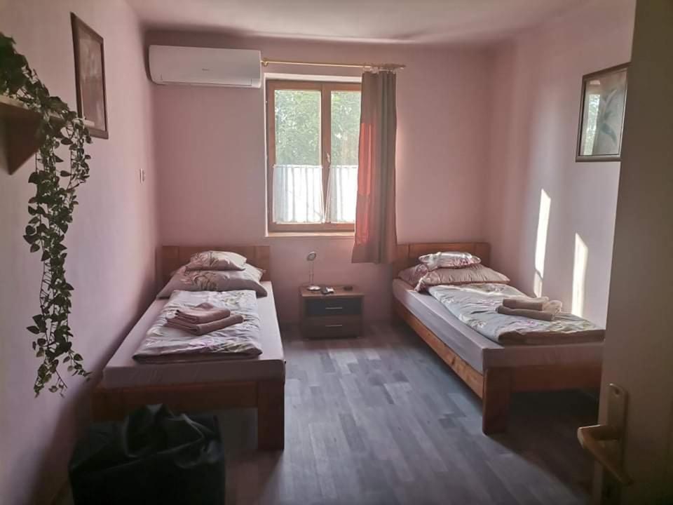 Pazsit-To Vendeghaz Apartment Békésszentandrás Exterior foto
